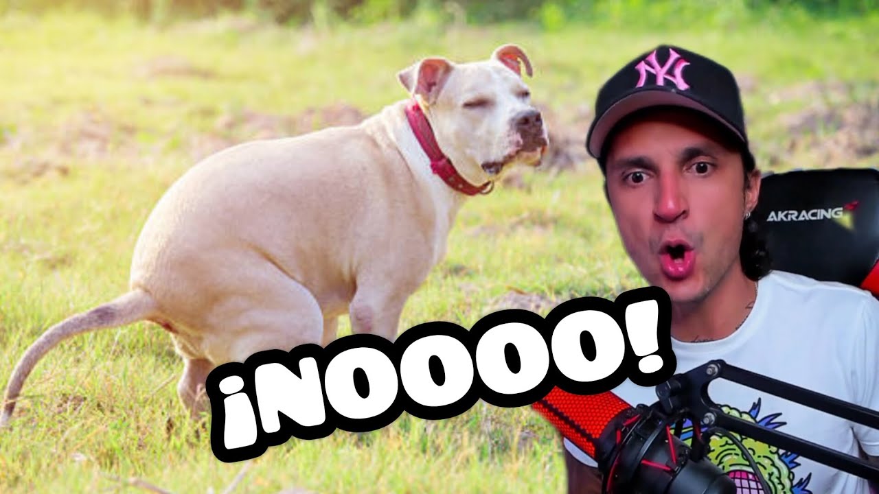 АНЕКДОТ Я ДУМАЛ, ЧТО ЭТО МОЙ КОНЕЦ | Кукла