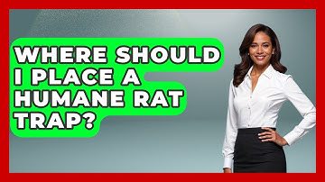 Where Should I Place A Humane Rat Trap? - Insects and Invaders
