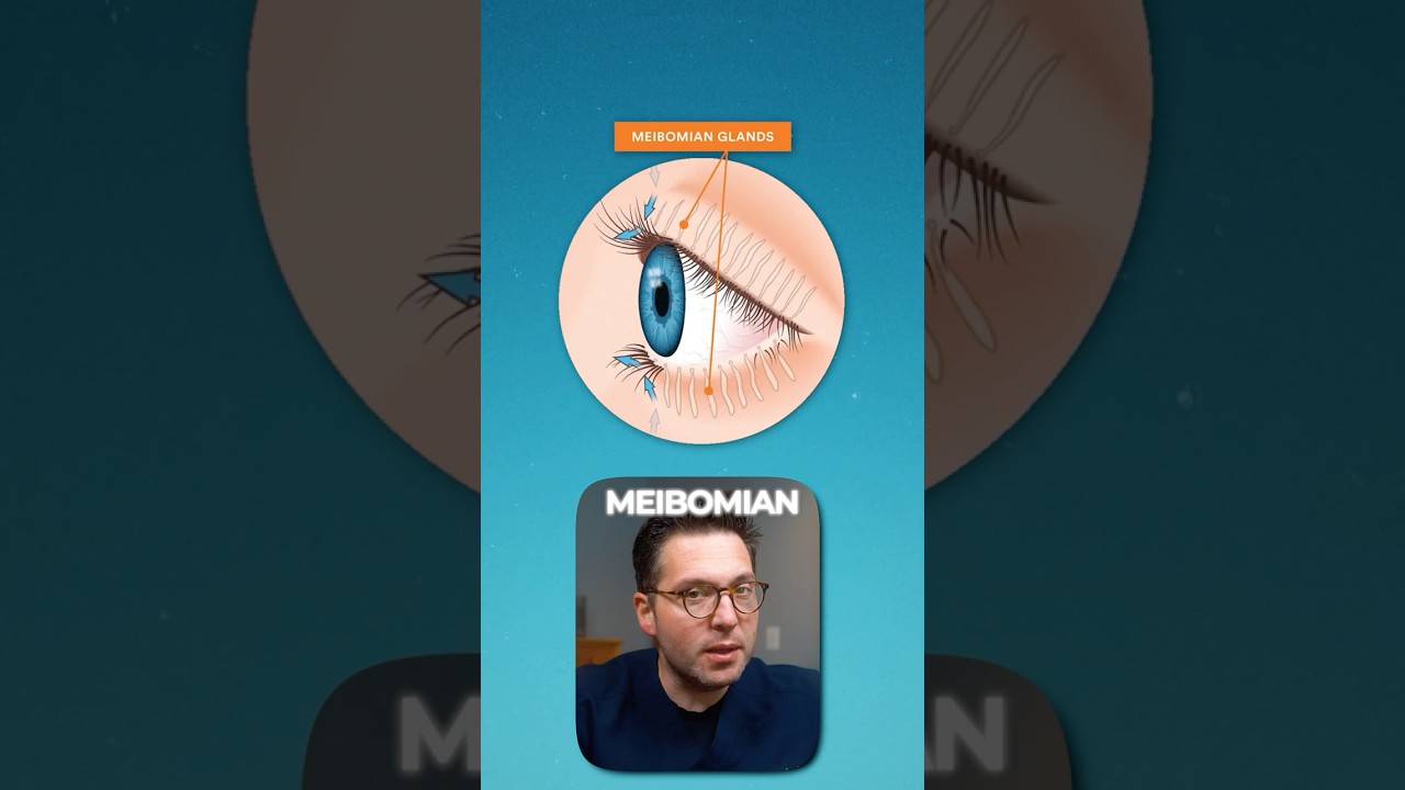 Why Your Eyelid Hurts: The Truth About Meibomian Glands