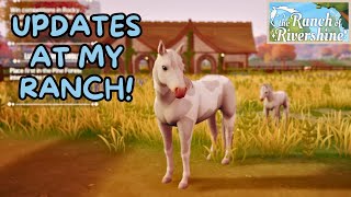 Foals, new stable, and more || The Ranch of Rivershine