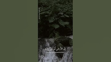 #تلاوة_خاشعة #تلاوة_هادئة #راحة_نفسية #قران_كريم #حالات_واتس #اكسبلور #قرآن #لايك