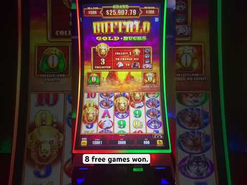 Hard Rock Hotel & CasinoSacramento at Fire Mountain#casino #california #sacramento