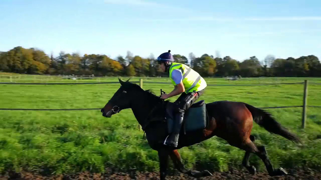 Caloona horsesTricky Issue and Jubilympics Schooling with Arthington over hurdles