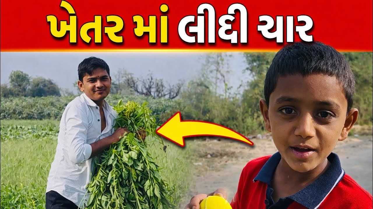 ખેતર માં લીધી ચાર 😱 // khetar ma lidhi char @Vloggerpradip09 