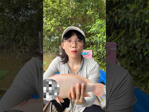 Câu cá dưới chân cầu long đại #fishing #cauca #mayfishing #caucavatrainghiem