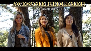 Awesome Redeemer  Wonderful Country Song