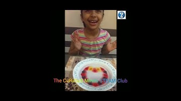Skittles Heart Science Experiment | Happy Valentines Day | Art with Science and Math