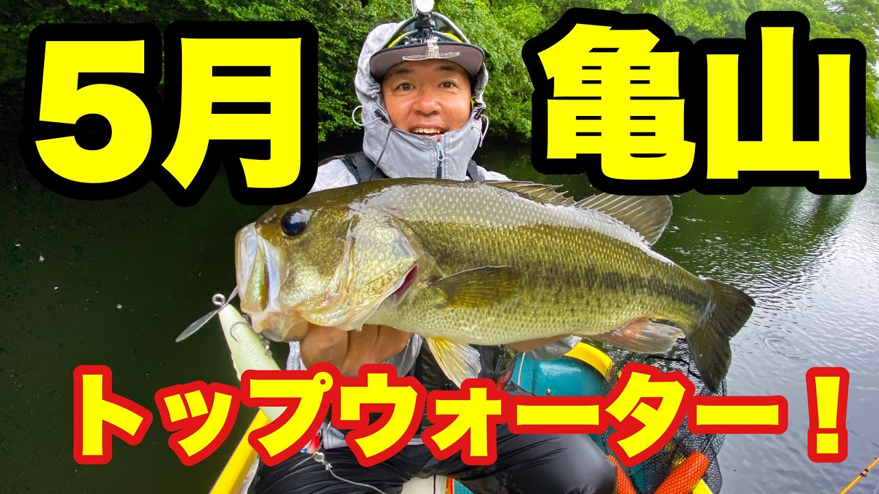 5月亀山ダム タフなgw明けもセビレなら釣れる トップウォーター ラインスラック Youtube