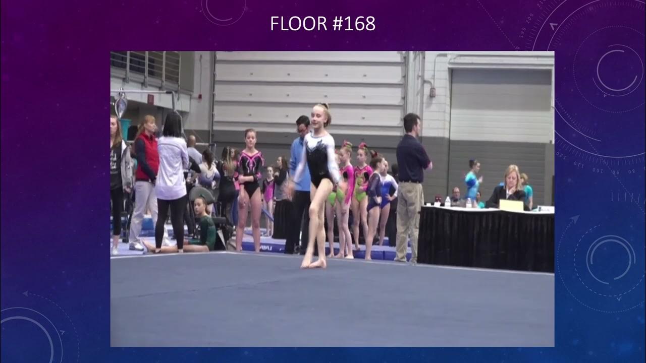 DP Gymnastics Level 8 — lzaGymJudge