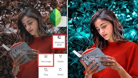 Snapseed - Just 2 Step Cyan Blue Effect🔥| Snapseed Amazing Editing Tricks