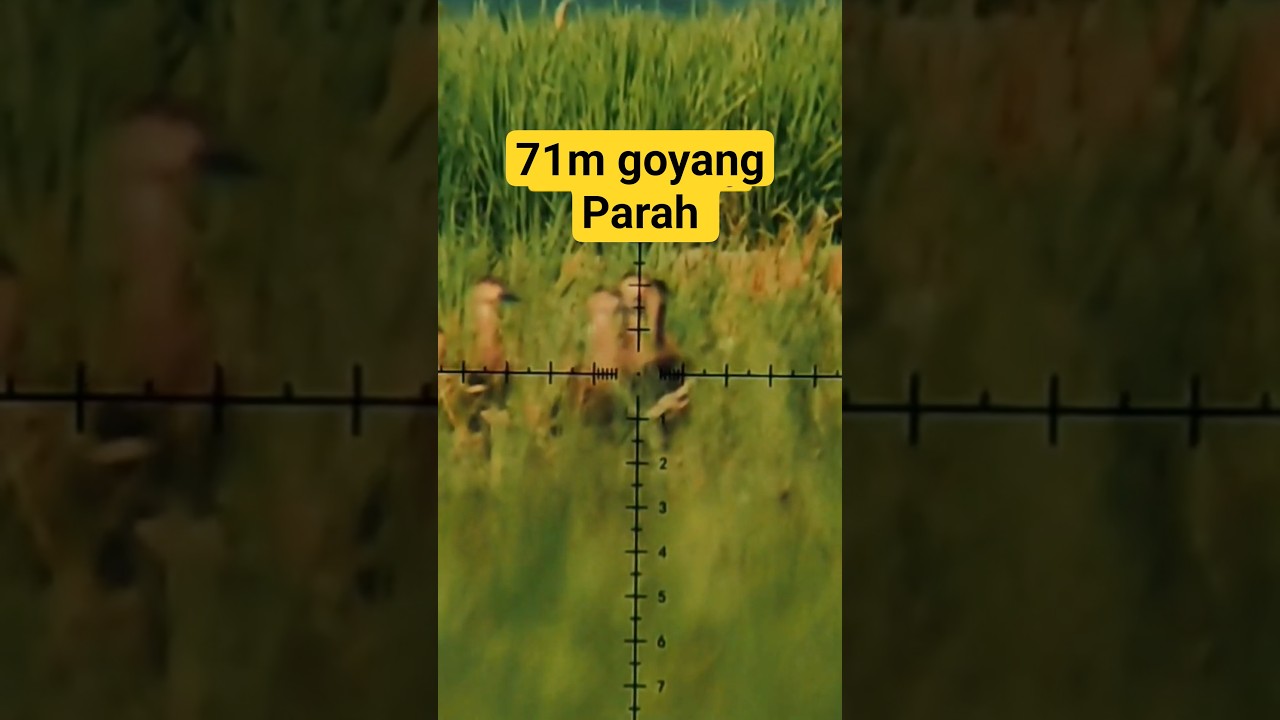 penampakan ngeshoot tanpa tripod/ beepod