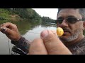 pesca na "pingadinha curta" no Rio Juquiá