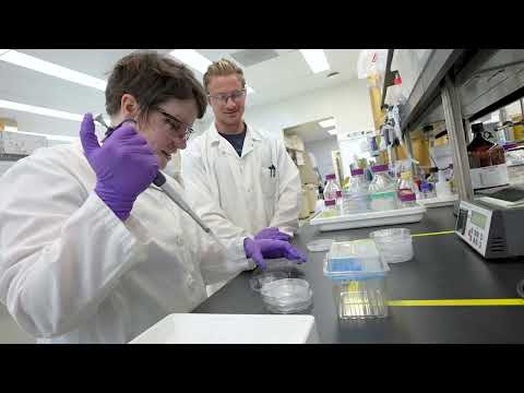 Life at Berkeley Lab