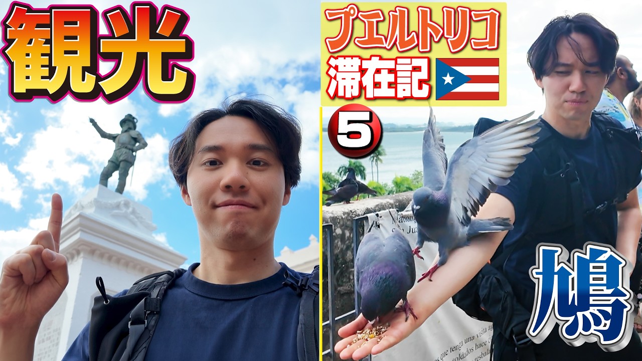 【犬・猫・鳩】大会翌日も観光！ 世界遺産の要塞を訪れ、夜はサルサを踊る！【プエルトリコ滞在記・⑤】