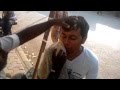 Indian Barber Street Shave in Mumbai. Cost: 8 cents. HD