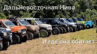 Менеджер Антон во Владивостоке. Mitin_light. DVTOYS.