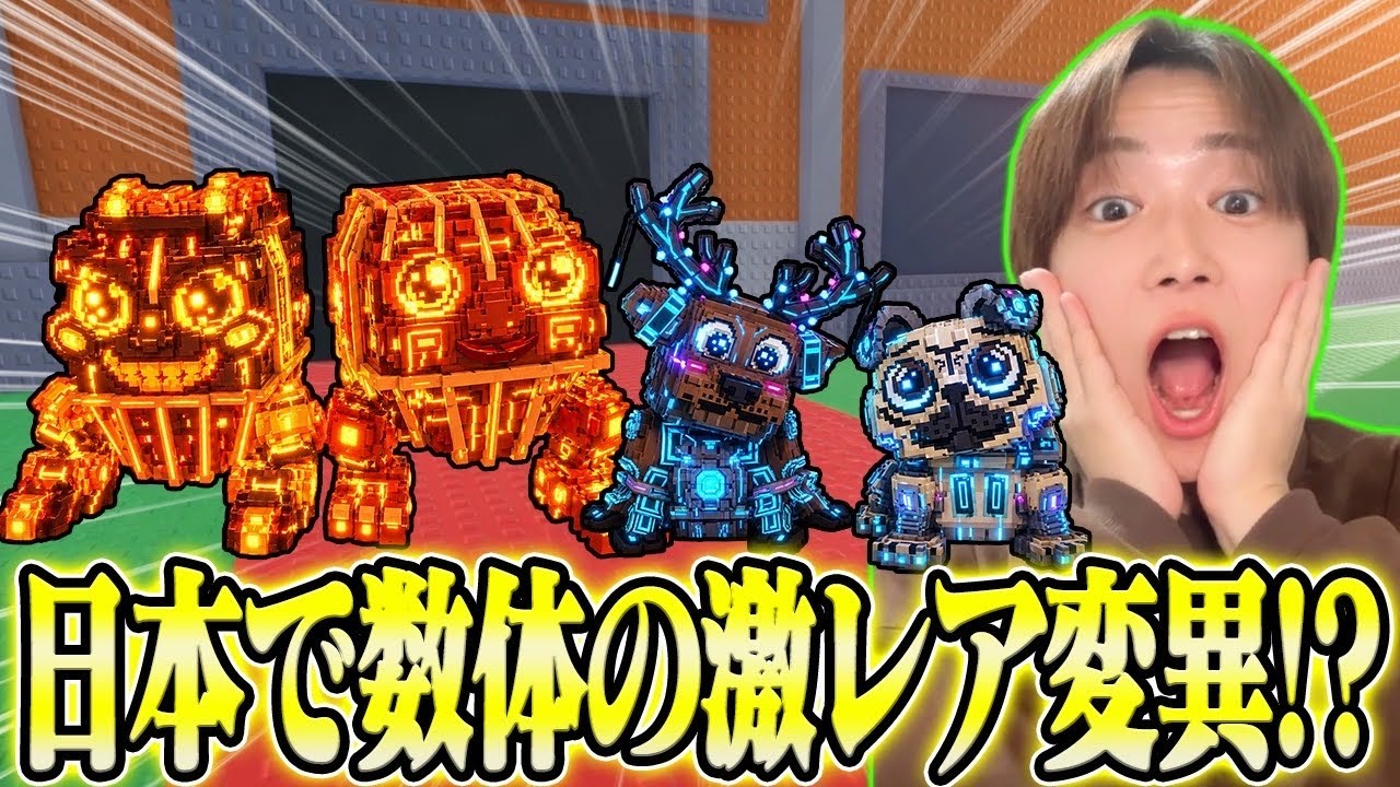 Aiming to create one of the few ultra-rare items in Japan using