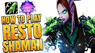 11.2 Resto Shaman Guide Meta Healer