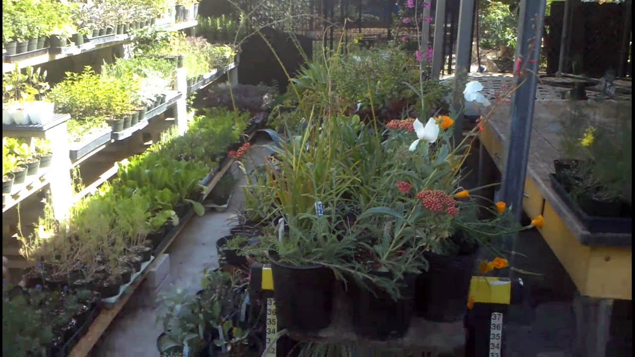 The magic herb garden YouTube