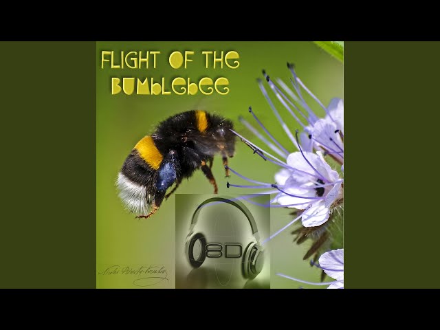 Flight of the Bumblebee (Piano Paraphrase By Sergei Rachmaninoff) - Nikolai Rimsky-Korsakov -...