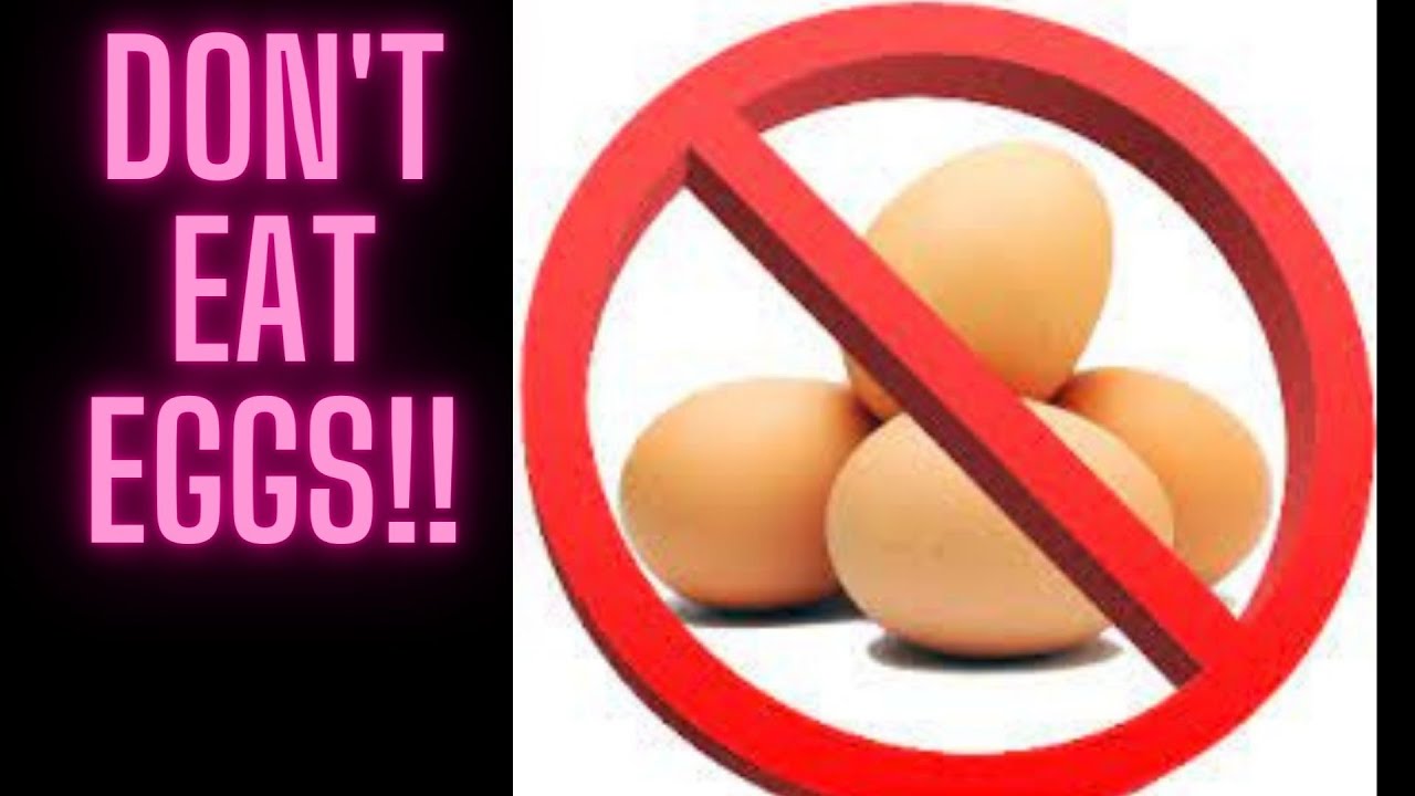 Don’t Eat Eggs!! YouTube