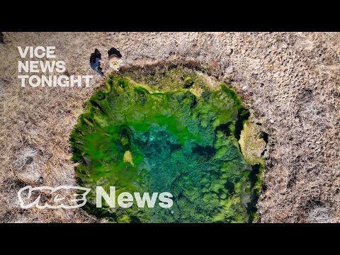 Video: Bagātīgie cilvēki ievada 24kt zelta tabletes, lai burtiski iegūtu naudu