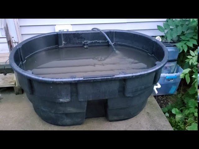 Breeding Pond 150 gallon Rubbermaid Stock tank 