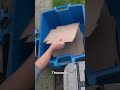 Bristol bin collection company fined for ‘appalling’ service