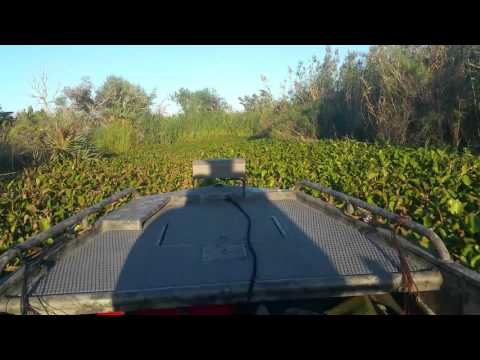 Gator Tail GTR 35 Swamp Ride