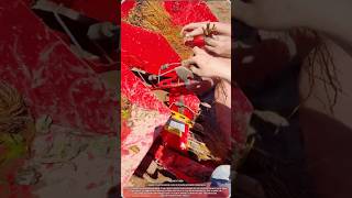Strawberry Planting Machine Places 60 Seedlings/min During Farming Work