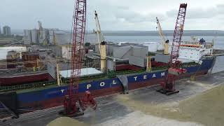 Isadora Cargo Ship Offloading In Hamilton