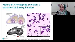 Chapter 11 [Part 1/3] - Characterizing and Classifying Prokaryotes