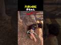 大きいのに赤ちゃん