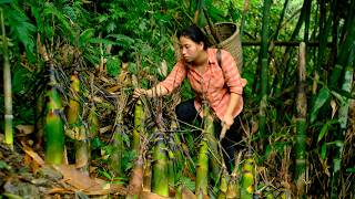 Building a life of freedom - Harvesting vegetables - Cooking with family _ Phuong's family life