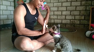 Cara melatih kucing duduk, salaman, dan tos.