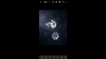 Lightroom Mobile editing | #lightroom #shorts