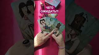 #таро #талисмантаро #гадание #таросила #tarot #любовь #деньги