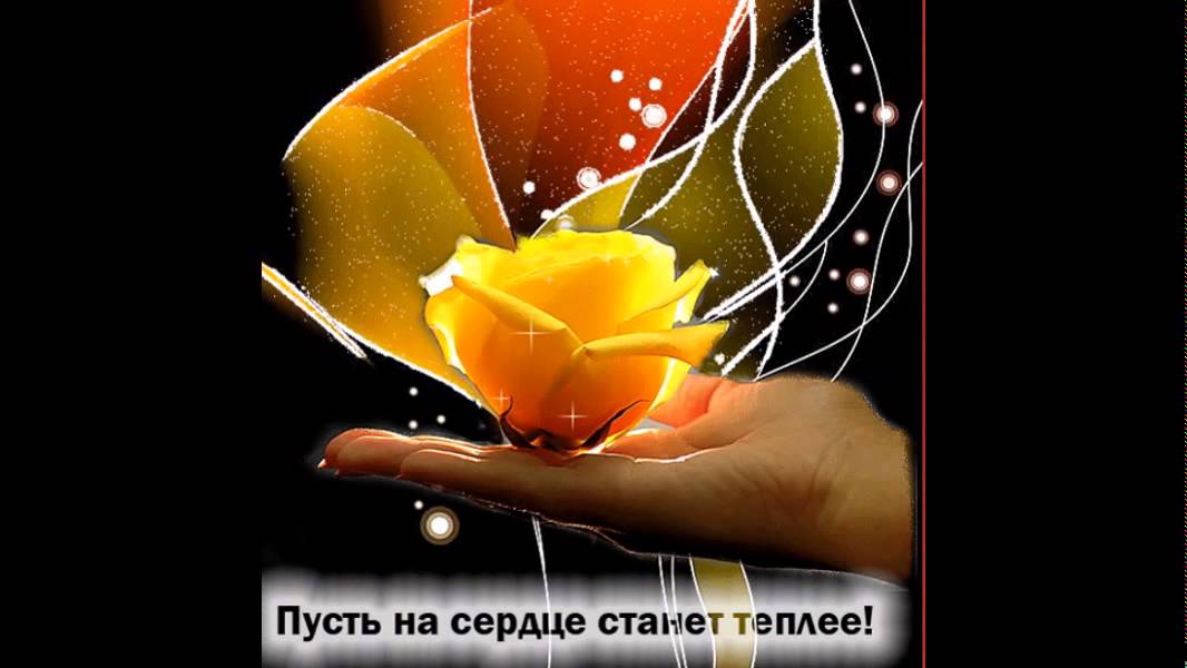 Любви, лучшие видео открытки на ватсап