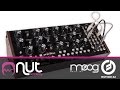 Moog mother 32  con enrico cosimi  nut academy