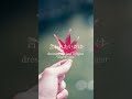『落葉』という新曲作りました。みんなの力でバズらせてください！！11月15日リリースです！