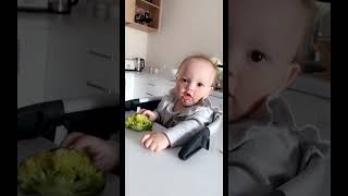 Baby Reacts Funnily When She Touches Broccoli  1497071