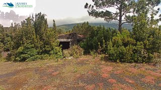 Large private forest by the sea on Pico island | Azores Properties