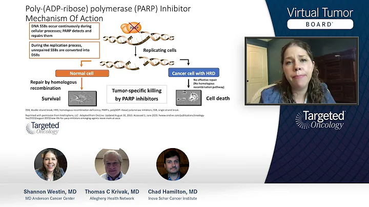 An Overview of PARP Inhibitors in Ovarian Cancer