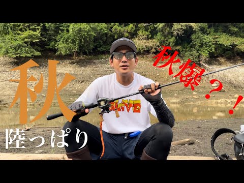 【バス釣り】荒食いの秋⁉️もう迷わないルアーセレクト‼️