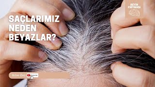 Saçlarımız Neden Beyazlar? Resimi
