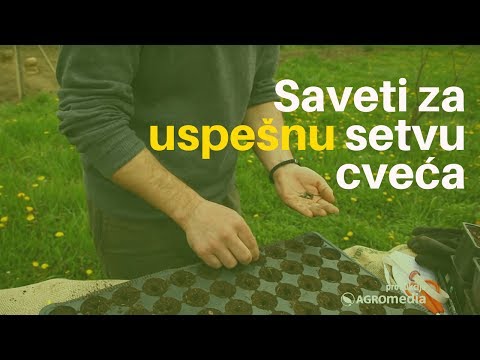 Saveti za uspešnu setvu cveća