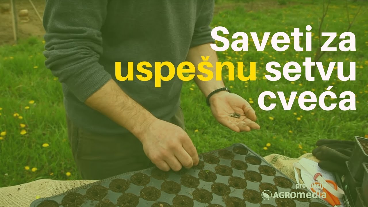 Saveti za uspešnu setvu cveća