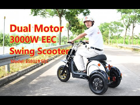 New 3-Wheels 3000W 2x2 Swing Electric Scooter ES8019 EEC