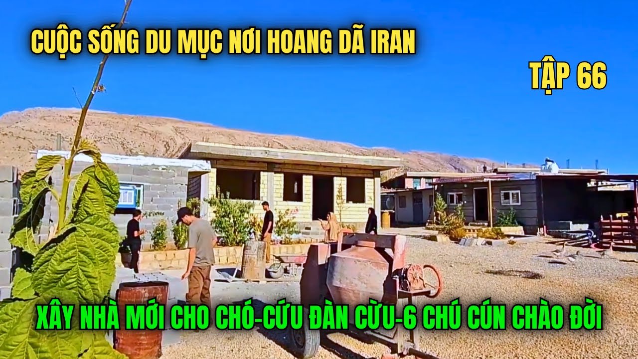 Amir - Tập 66: Gia Đình Du Mục Iran Tự Xây Chuồng Cừu, Nhà Chó, Dời Tổ Ong Và Sưởi Ấm Cả Mùa Đông