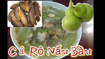 Canh Bầu Nấu Cá Rô Đồng Nước Canh Siêu Siêu Ngọt